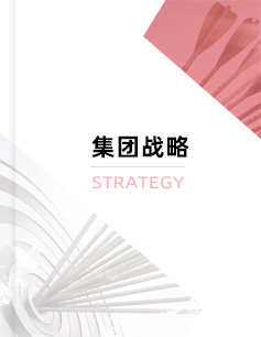 東方龍商務戰略目標